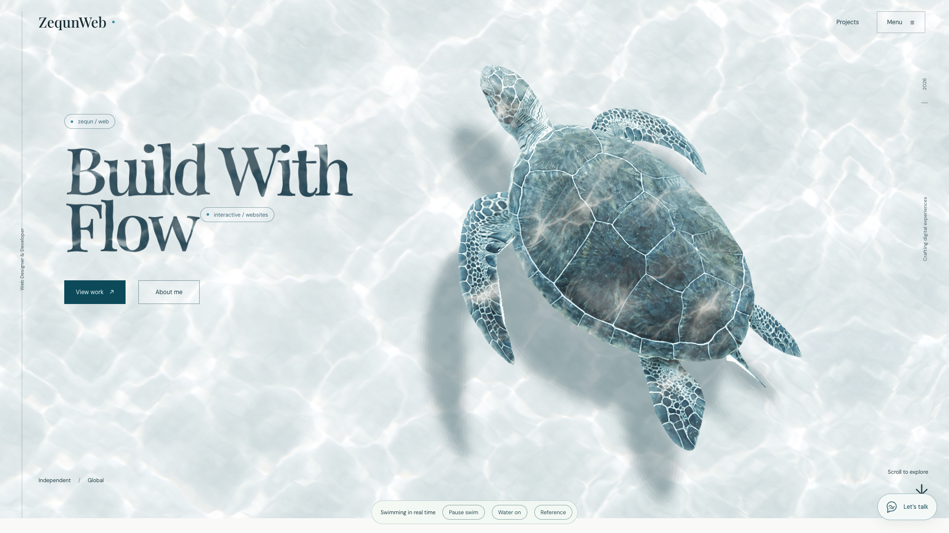 3D Turtle interactive website preview